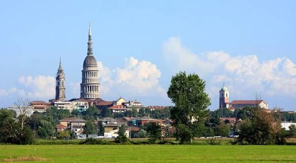 Panorama di Novara con campanili e cupola, case rosse e prato verde in primo piano.